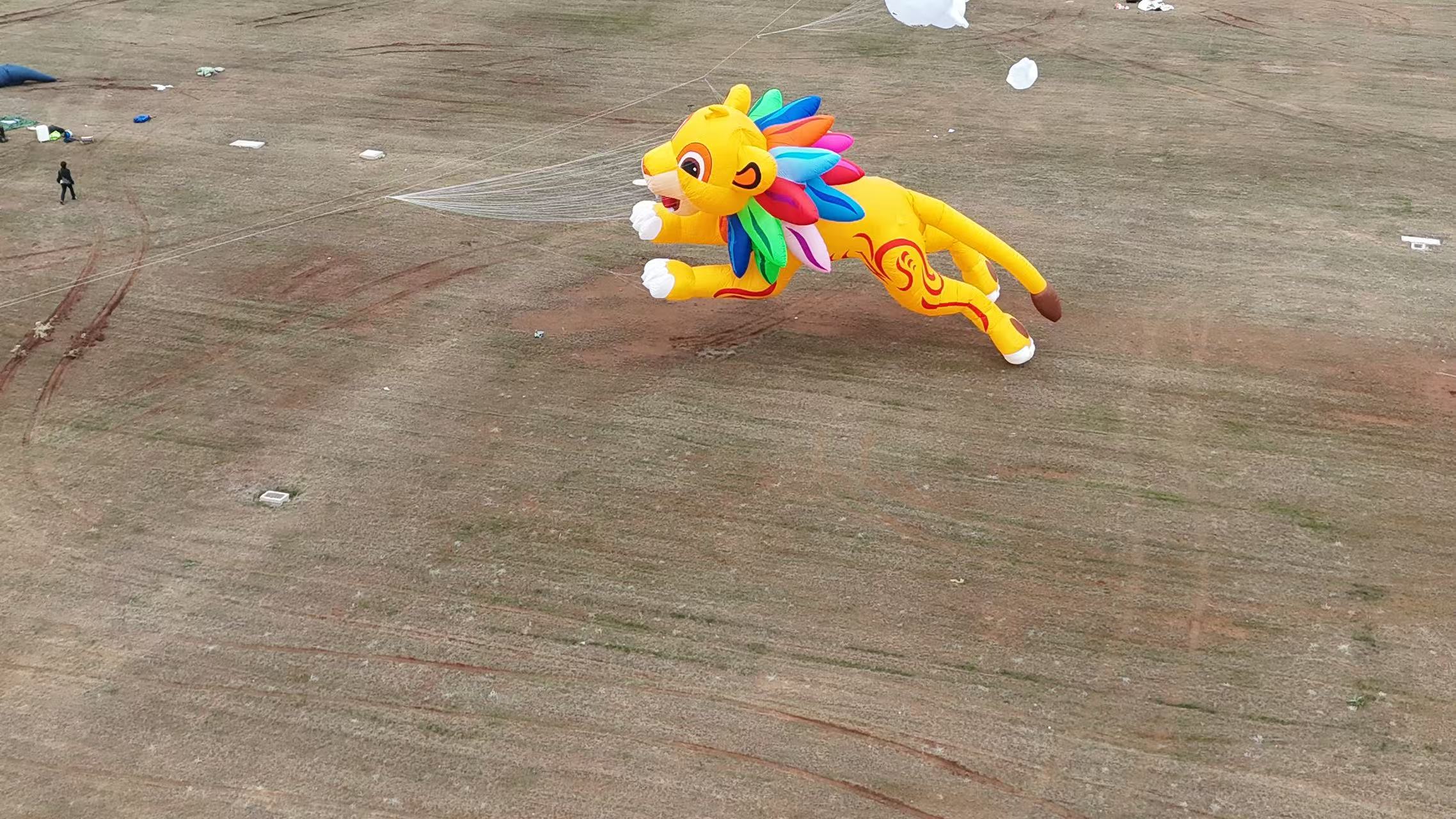 呼和浩特市品牌风筝定制风筝放飞活动策划 - 方案