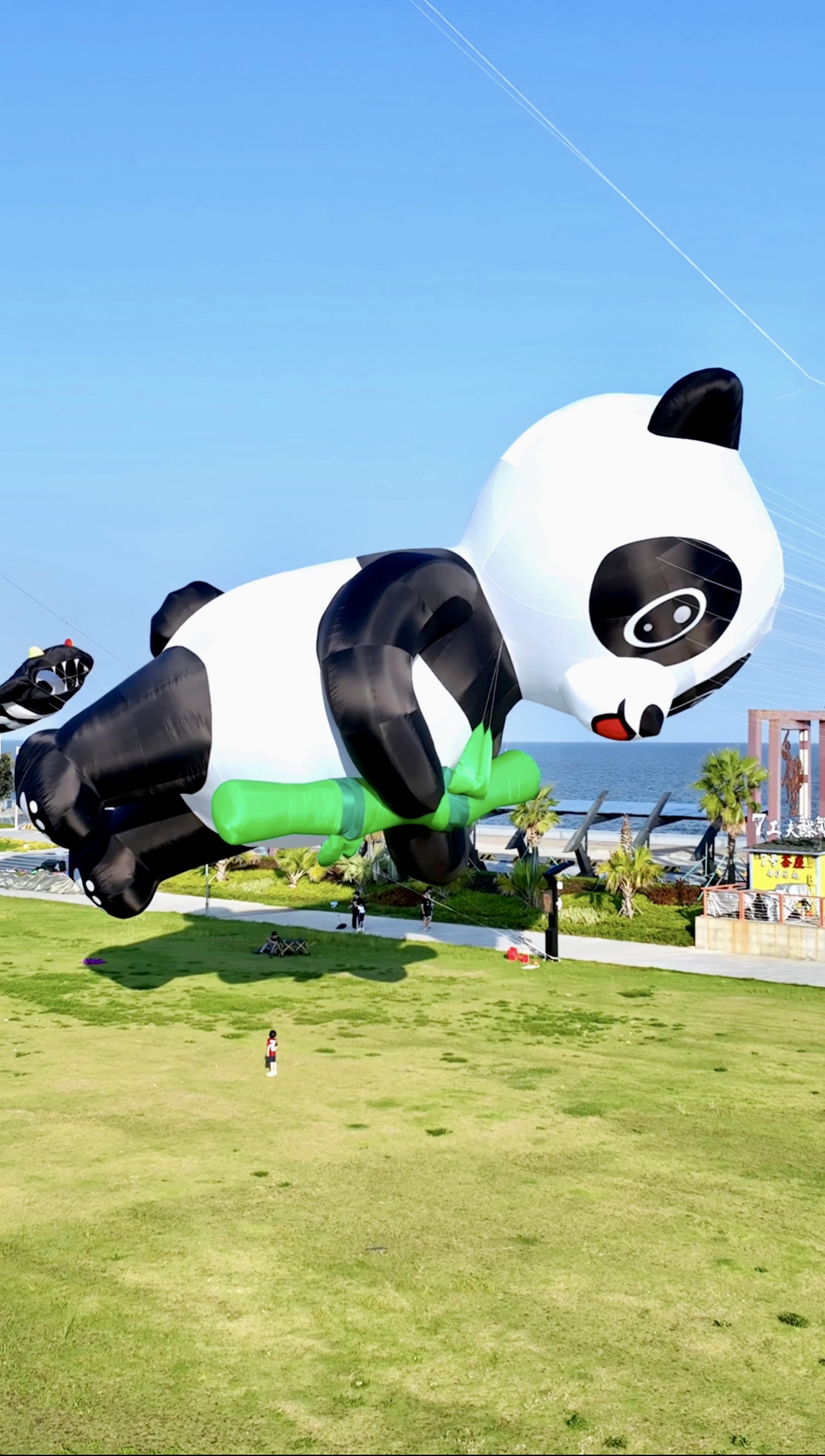 呼和浩特市软体风筝定制风筝放飞活动策划 - 排名