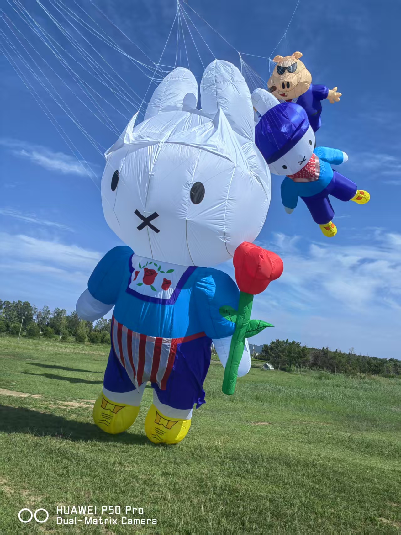 呼和浩特市儿童风筝定制风筝放飞活动策划 - 价格