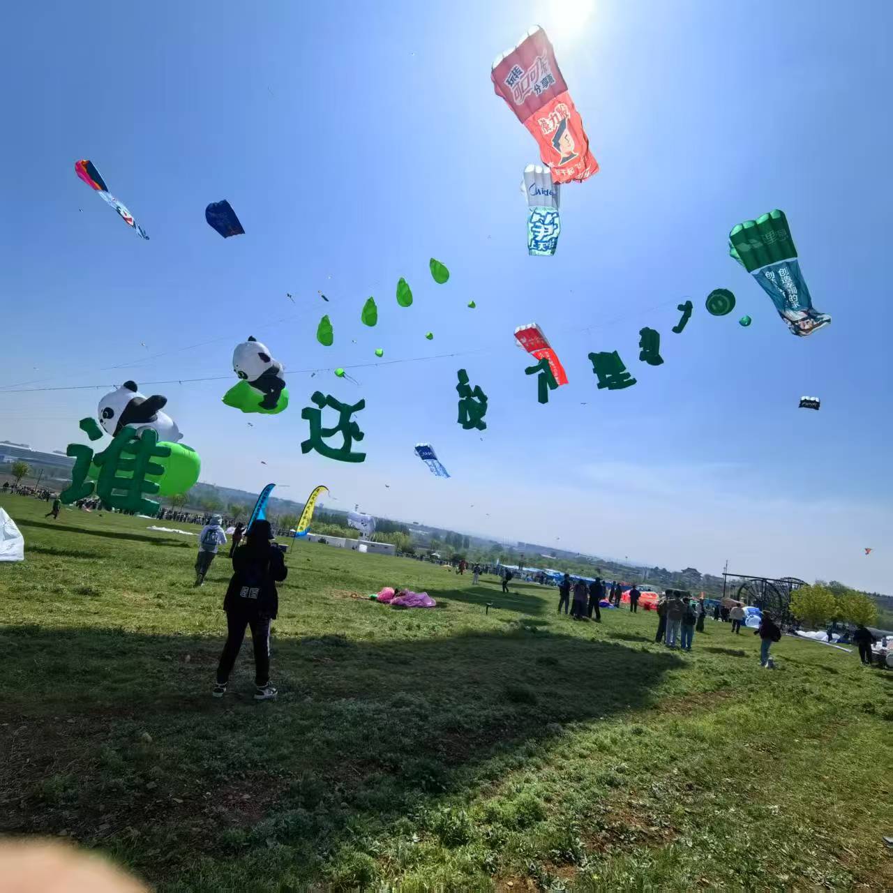 呼和浩特市风筝制作风筝定制 - 厂家